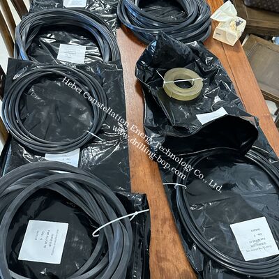 Shaffer Bolt Cover Type Annular BOP Seal Kits 13 5/8" 5000psi For High Pressure Applications